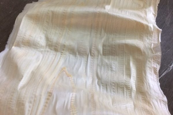 桧 幅300㎜超~仕上 厚さ0.3㎜ぐらい でっかい鰹節みたいです!